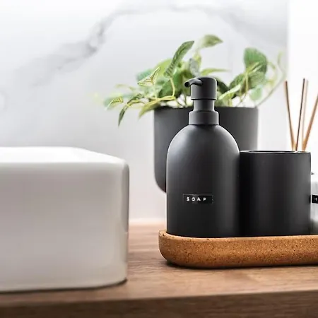 Myslbekova 5 * 俄斯特拉发