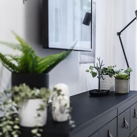 Myslbekova 5 俄斯特拉发