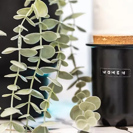 公寓 Myslbekova 5 俄斯特拉发