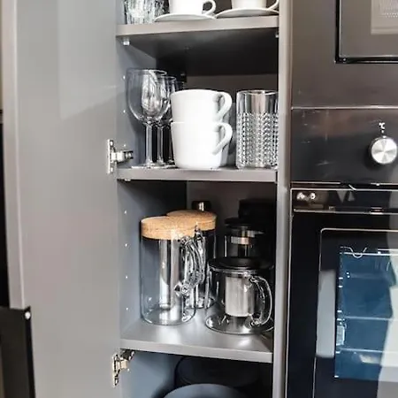 公寓 Myslbekova 5 俄斯特拉发