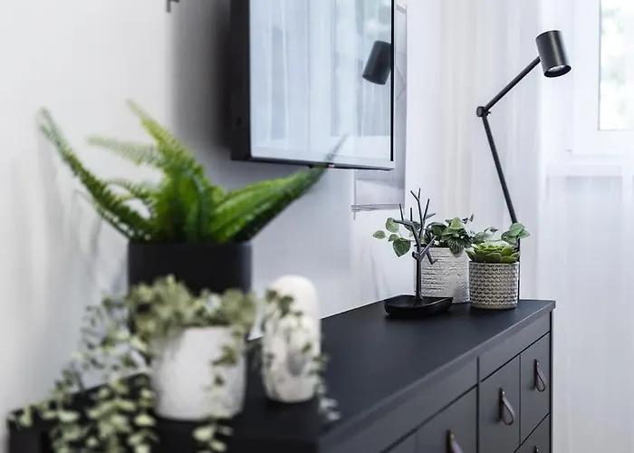 Myslbekova 5 Ostrava