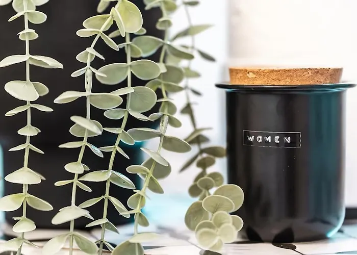 公寓 Myslbekova 5 俄斯特拉发